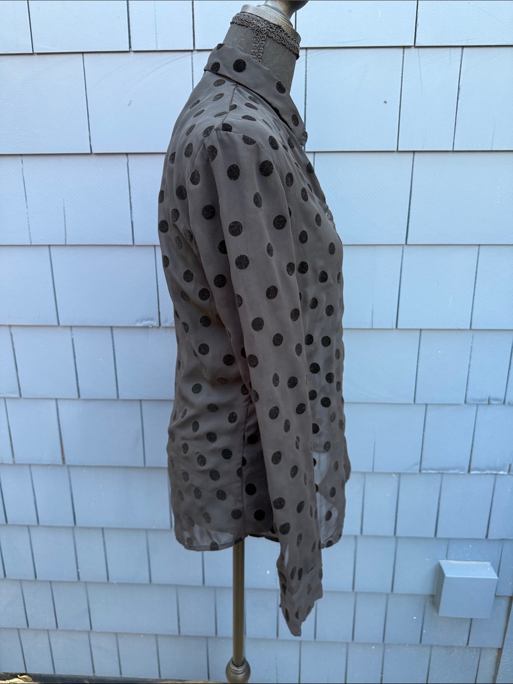 Polka Dot Button-Down Shirt Blouse in Taupe with Black Dots medium velvet - Picture 6 of 10